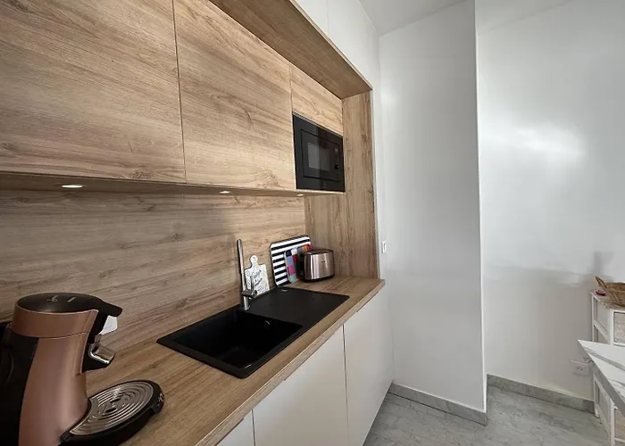 Apartment F2 Vue Le Neptune Sanguinaires