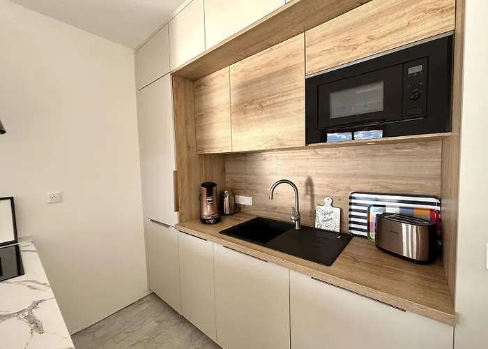 Apartment F2 Vue Le Neptune Sanguinaires *